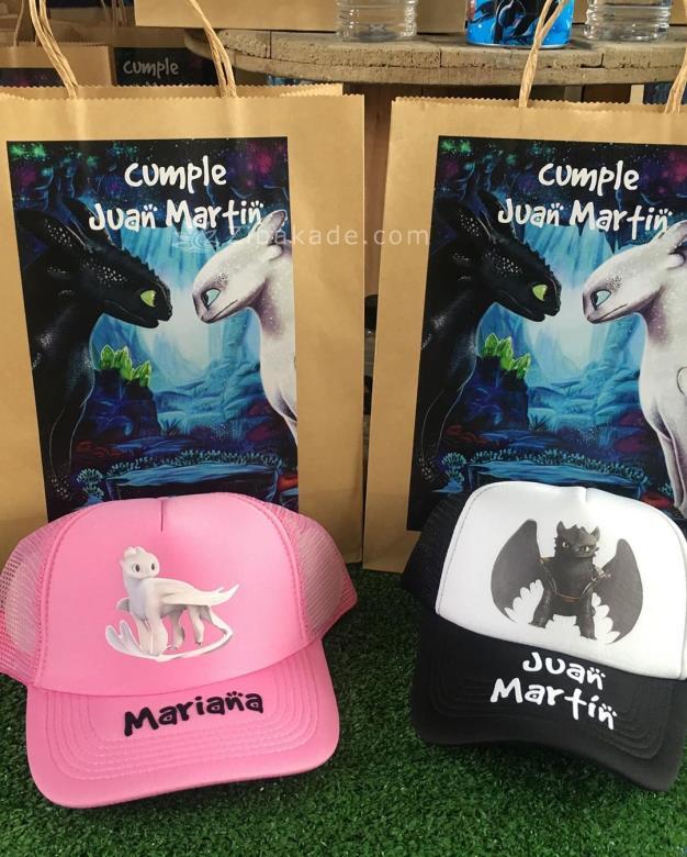 تم تولد مربی اژدها - How to Train Your Dragon